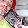 dog, pit_bull, pet, animal, human, man, beard, selfie, close_up, portrait, smiling, teeth, open_mouth, wide_eyes, gray_fur, collar, cuddling, indoors, couch, funny