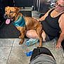 Rex is registered to the contest to win money with this photo: dog, brown_dog, bandana, indoor, woman, sitting, glasses, black_tank_top, leg_brace, tile_floor, happy, pet, companion, casual, floor_mat, shoe, hand, resting, looking_away, candid