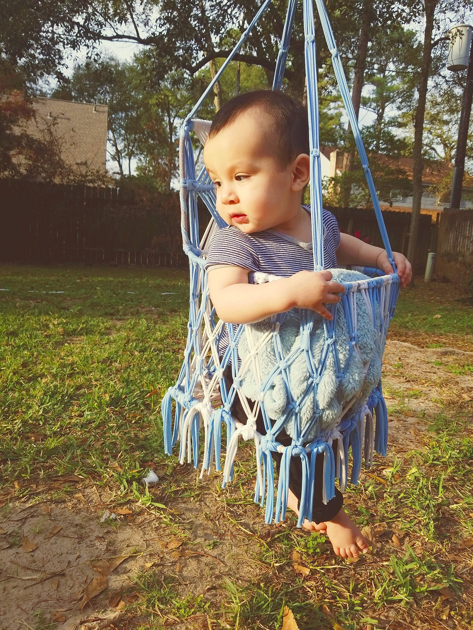 Dorian is registered to the contest to win money with this photo: baby, child, fun, outdoor_play_equipment, person, plant, play, product, recreation, smile, swing, toddler, tree