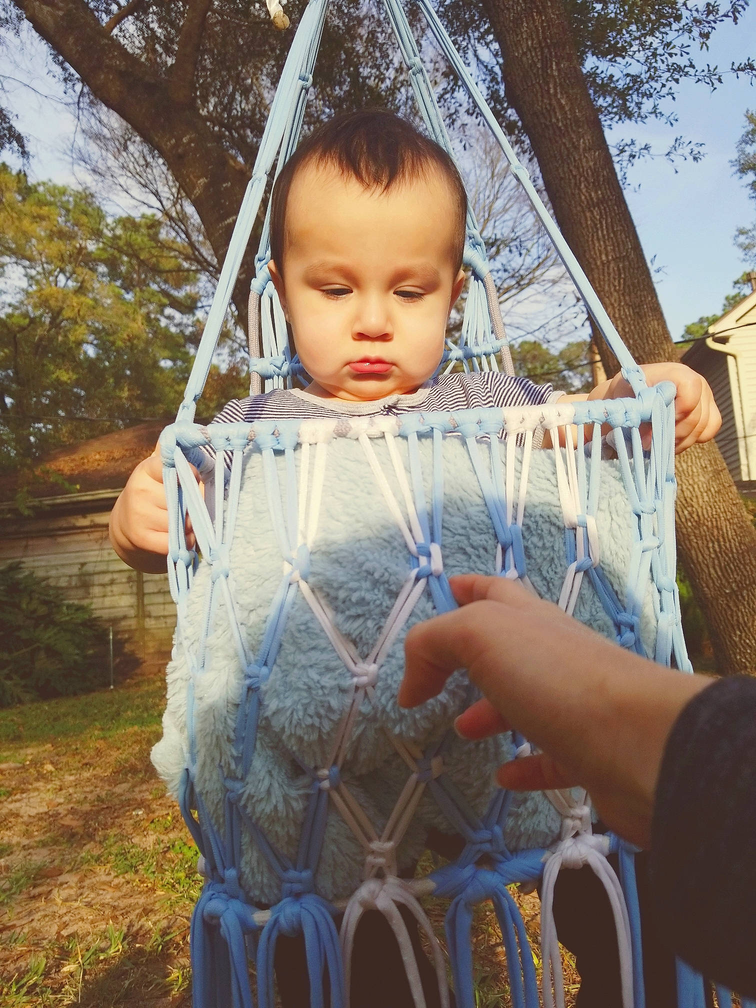 Dorian is registered to the contest to win money with this photo: baby, child, person, photography, sitting, textile, toddler, tree