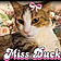 Ducky