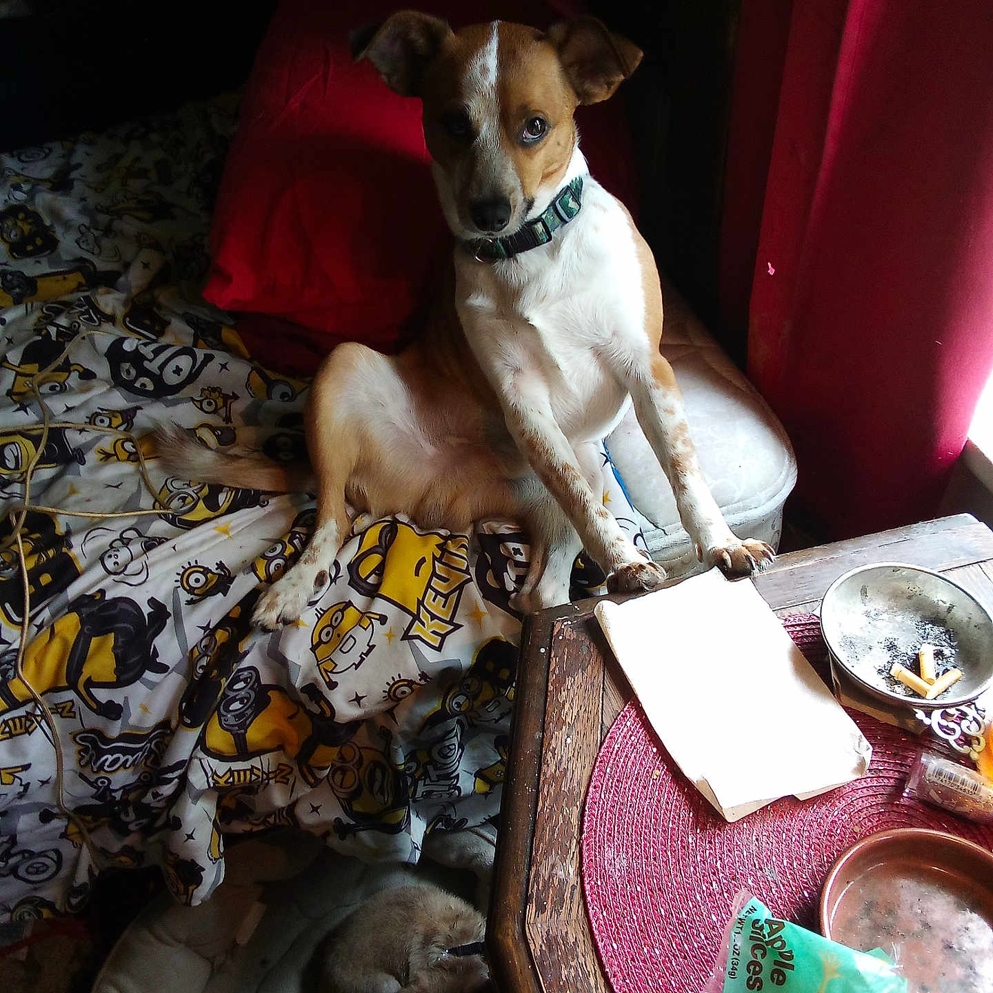 Max