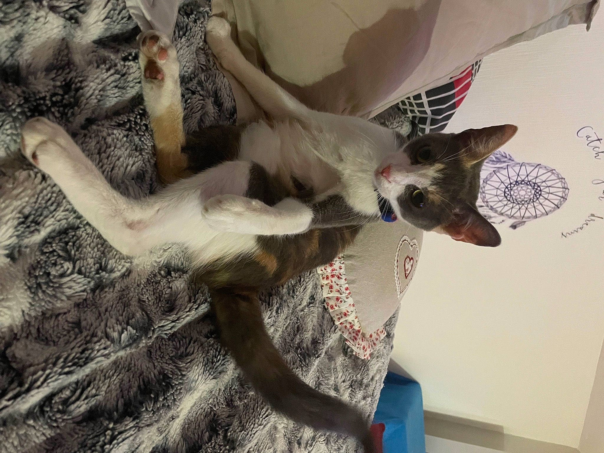 Calinette participe au concours pour gagner de l'argent avec cette photo : art, carnivore, cat, comfort, eye, fawn, felidae, fur, organism, paw, small_to_medium_sized_cats, snout, tail, tree, visual_arts, whiskers, wing