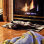 Easton joined the competition — help win amazing prizes! cat, fireplace, fire, rug, blanket, hardwood_floor, cozy, pet, indoor, relaxed, belly_up, fire_logs, flames, hearth, wood_paneling, warmth, home_interior, whiskers, lounging, soft_lighting