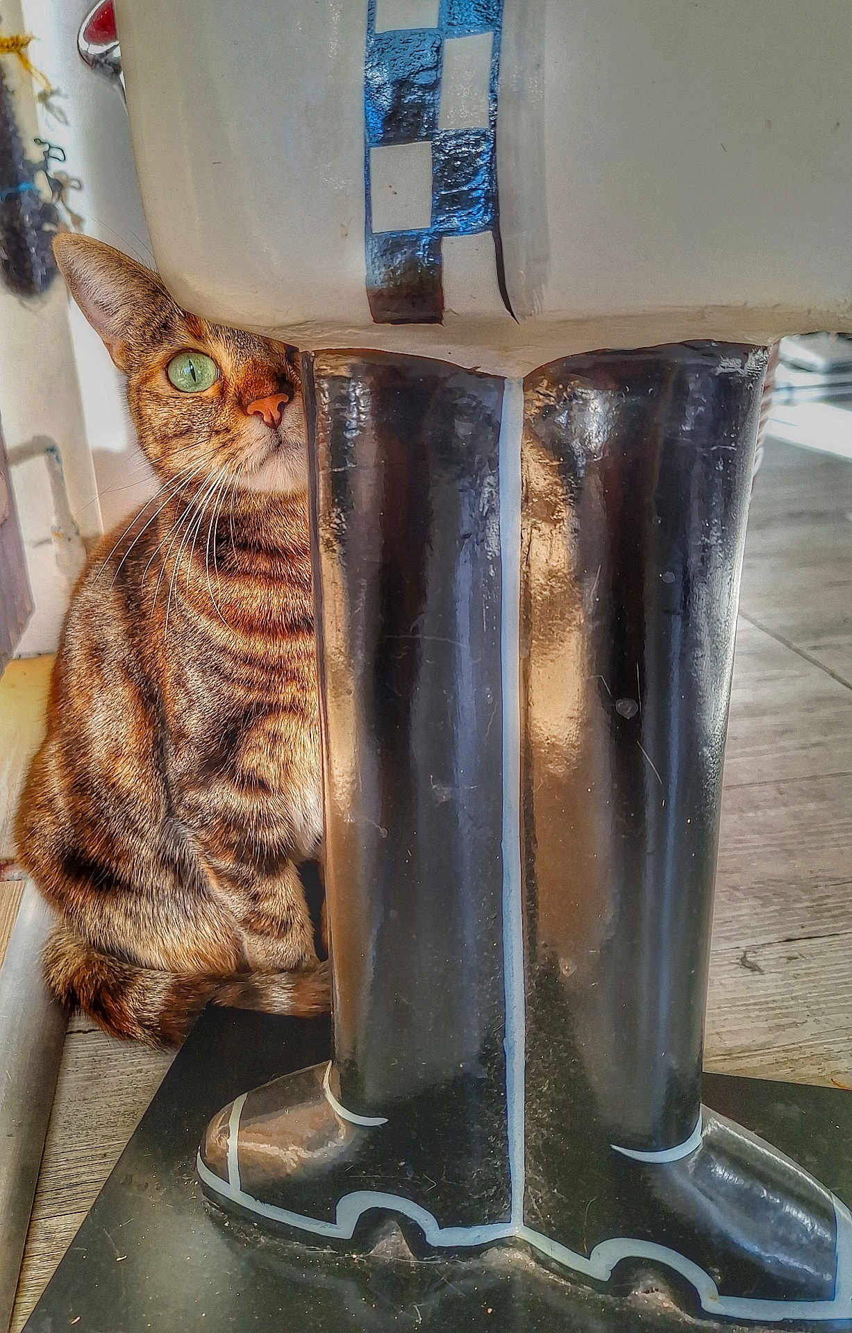 Chouille a rejoint le concours — aidez-le/la à gagner de superbes lots ! cat, tabby_cat, green_eye, boots, rain_boots, curious, peeking, wooden_floor, indoor, striped_fur, pet, animal, feline, close_up, playful, cozy, shiny, black_boots, whiskers, ears