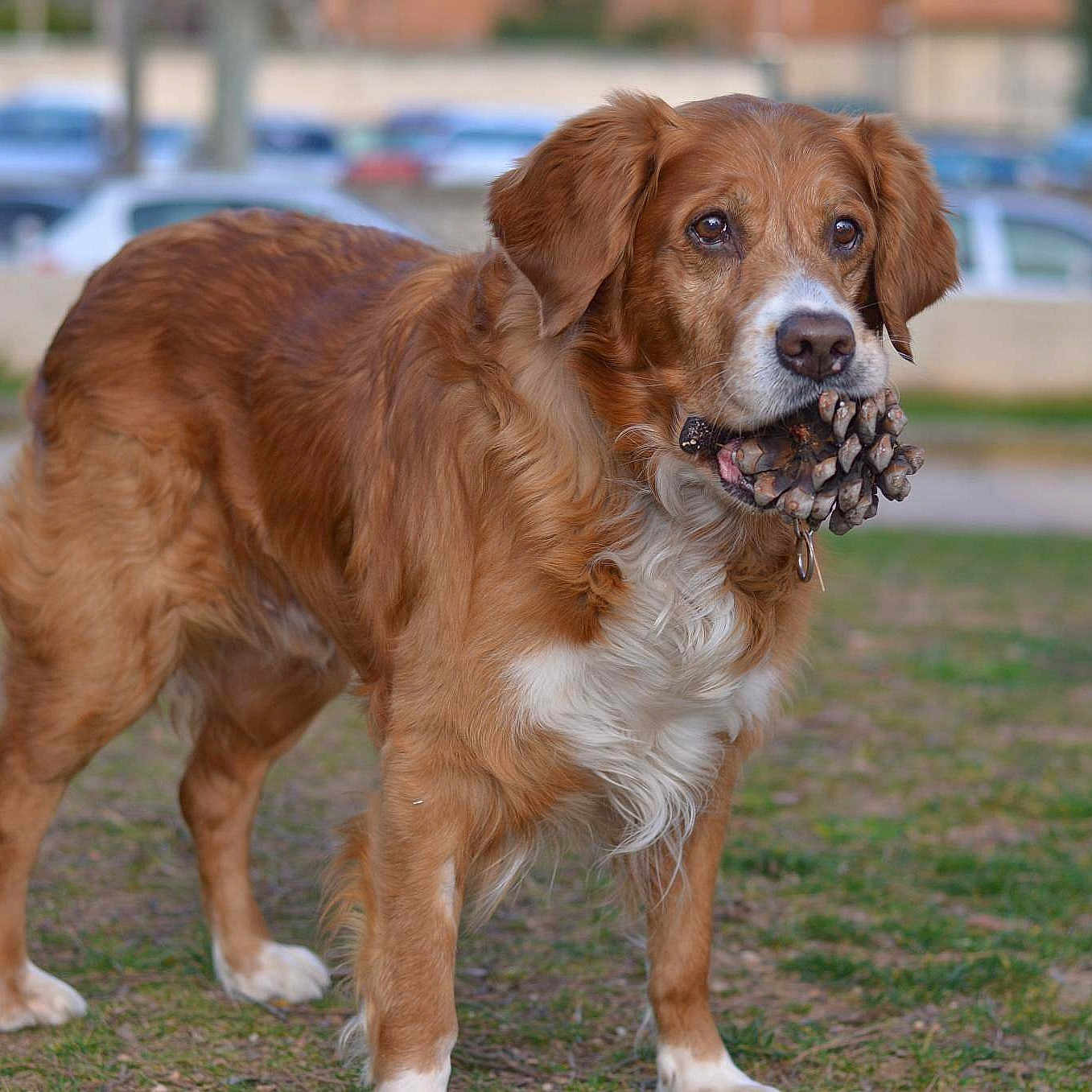 Tucker a rejoint le concours — aidez-le/la à gagner de superbes lots !