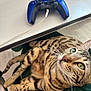 animal, bengal_cat, casual, cat, chair, closeup, feline, focus, gaming_controller, green_eyes, green_fabric, home, indoor, light, pencil, pet, relaxed, striped_fur, table, whiskers