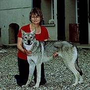 Tulipe participe au concours pour gagner de l'argent avec cette photo : animal, building, casual, daylight, dog, ears, friendly, fur, glasses, gravel, kneeling, nature, outdoor, pet, portrait, red_shirt, smiling, tail, wolf_dog, woman