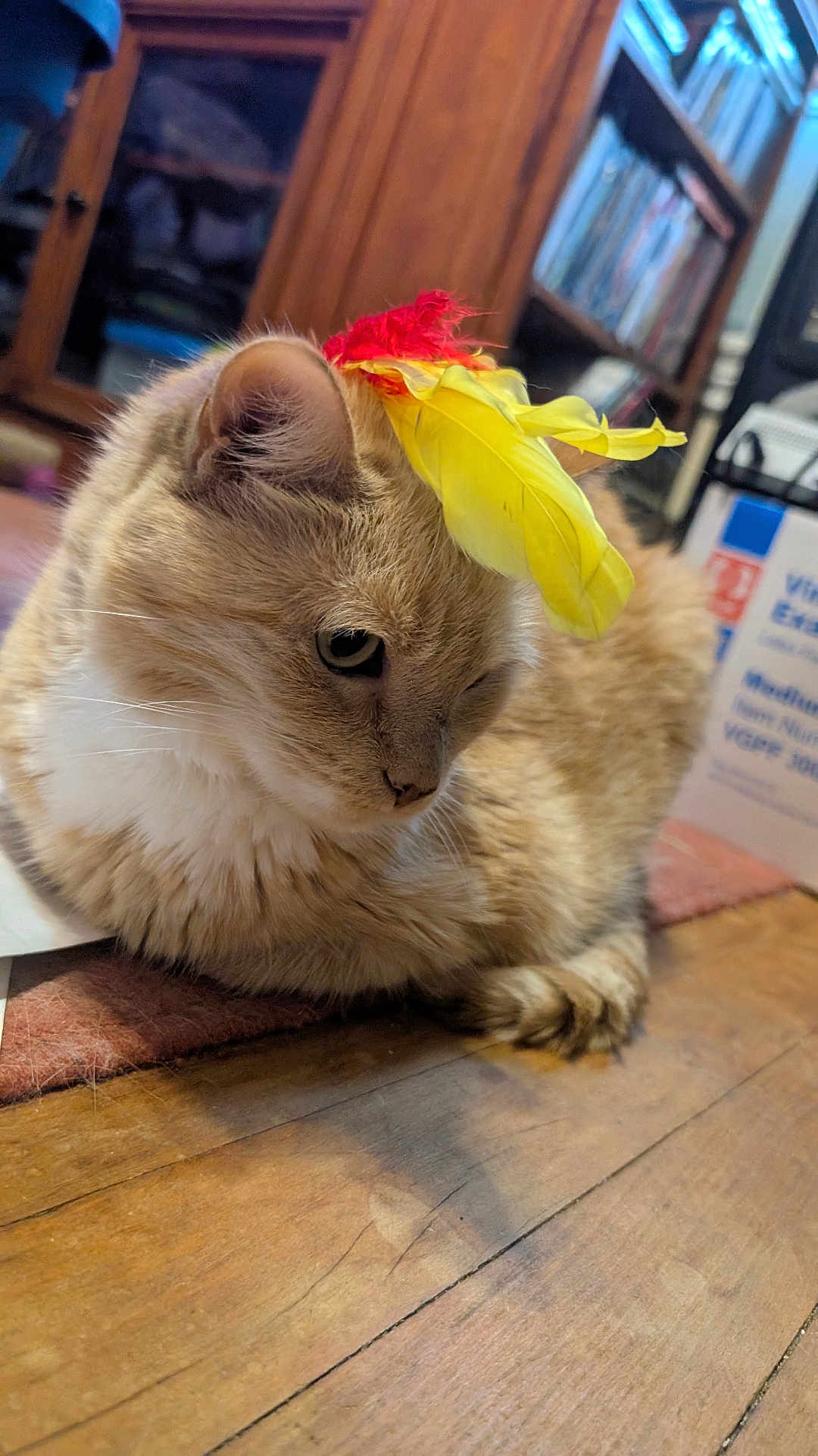 Lily