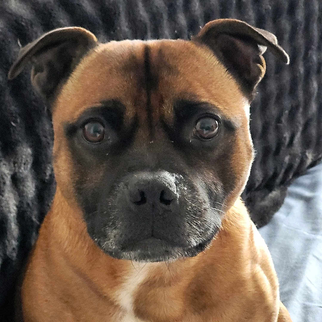 Paco
