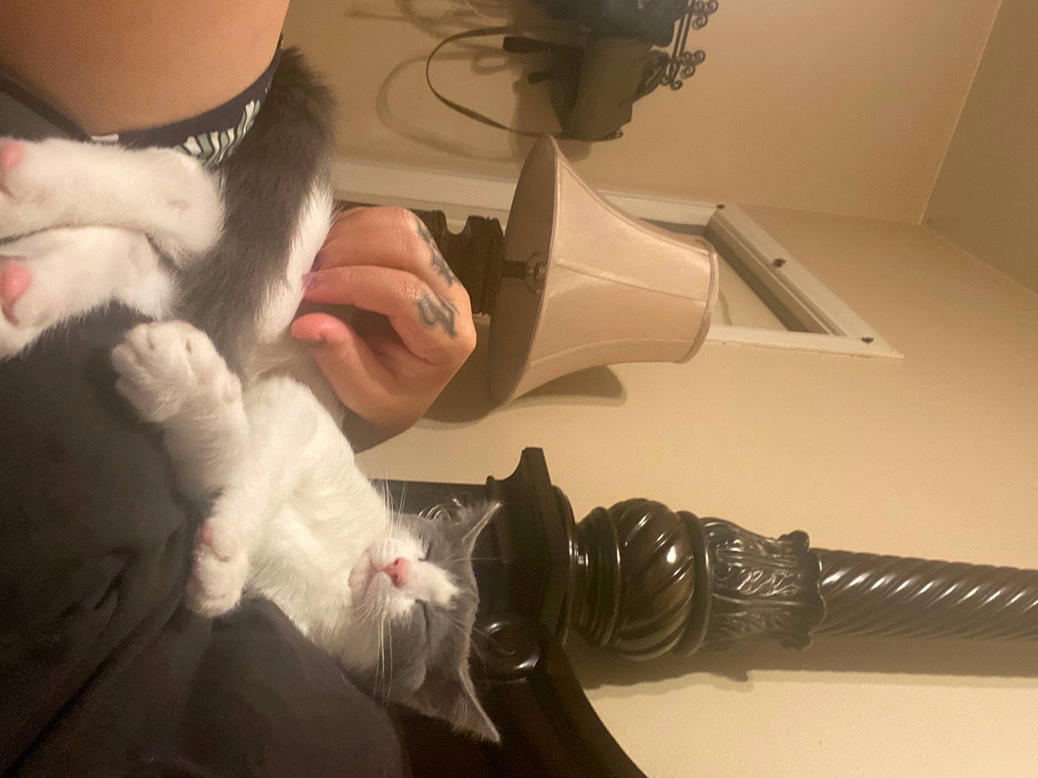 Max is registered to the contest to win money with this photo: companion_dog, elbow, fashion_accessory, felidae, finger, fur, gesture, glove, hardwood, human_leg, leg, machine, nail, personal_protective_equipment, room, small_to_medium_sized_cats, tail, whiskers, wood, wrist