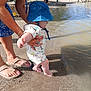 baby, child, adult, water, beach, sand, blue_hat, romper, barefoot, summer, sunny, outdoor, nature, playing, water_sport, people, trees, footwear, hand, shore