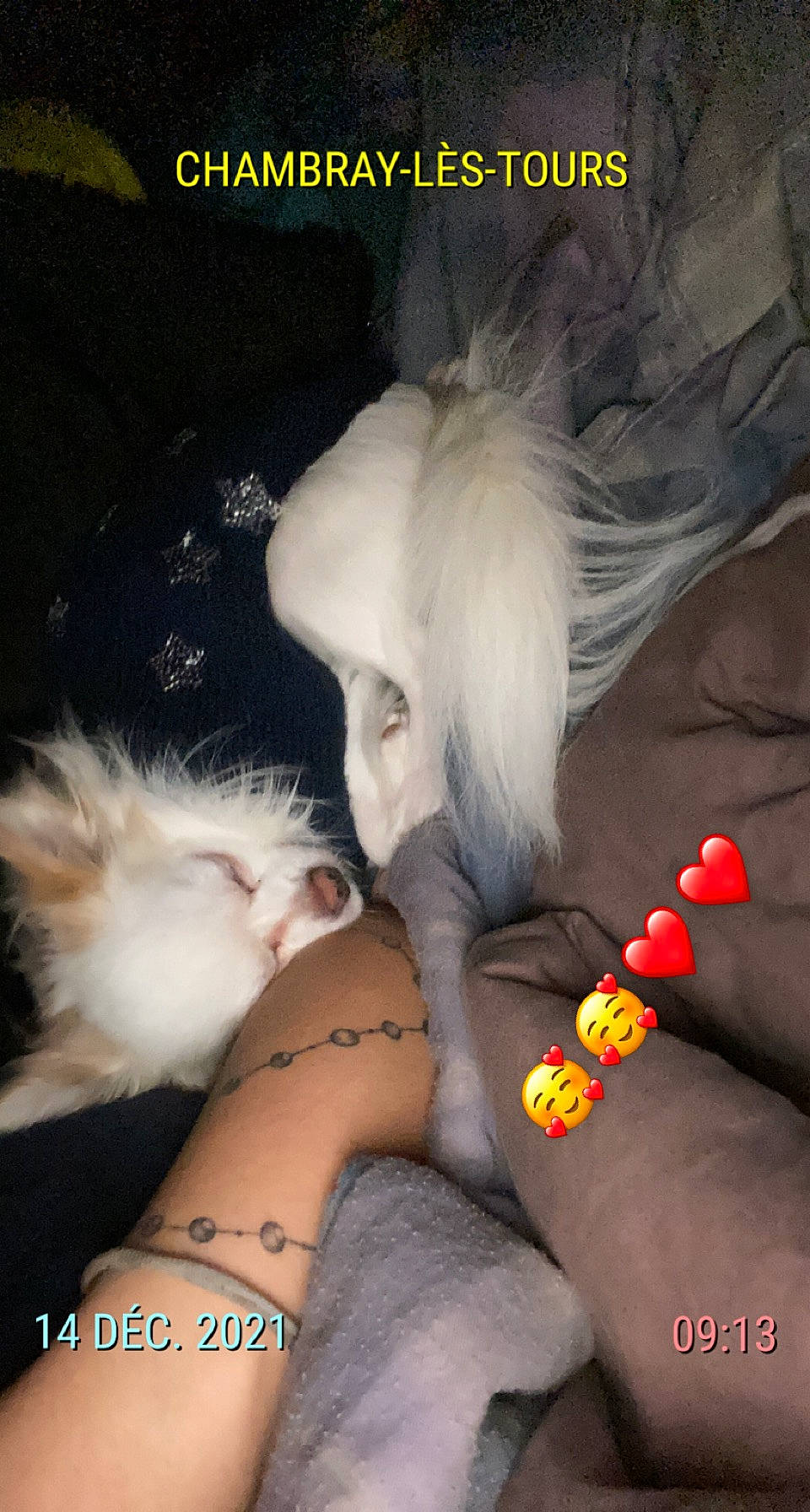 Pikachu a rejoint le concours — aidez-le/la à gagner de superbes lots ! cg_artwork, chest, companion_dog, cool, darkness, eyelash, finger, foot, gesture, human_leg, jewellery, knee, leg, lip, mouth, nail, tattoo, temporary_tattoo, thigh, wrist