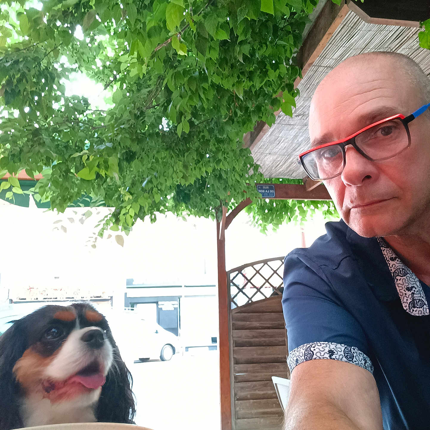 Romy participe au concours pour gagner de l'argent avec cette photo : animal, bowl, canine, casual, companion, dog, glasses, green_leaves, happy, man, nature, outdoor, pet, portrait, relaxed, selfie, shade, summer, table, wooden_structure