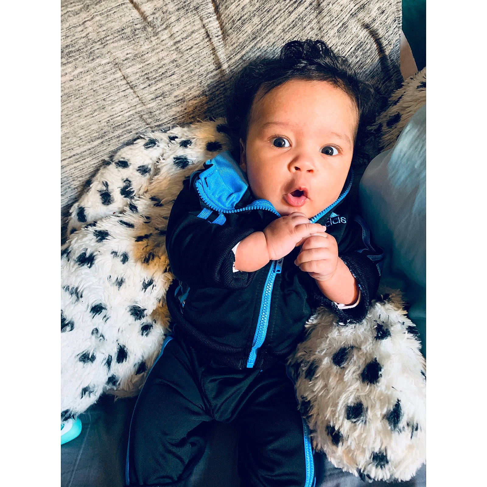 Gianni is registered to the contest to win money with this photo: baby, beauty, canidae, child, design, dress, fur, jacket, nose, outerwear, pattern, person, photography, puppy, shoe, sleeve, surprise, textile, toddler