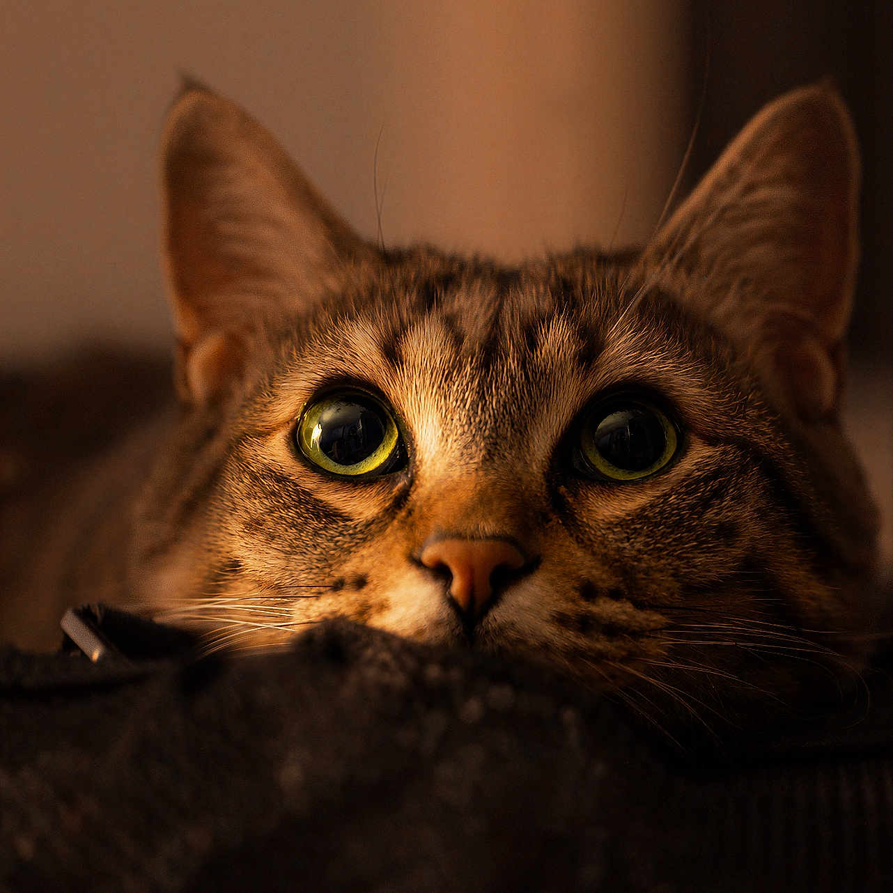 Léon