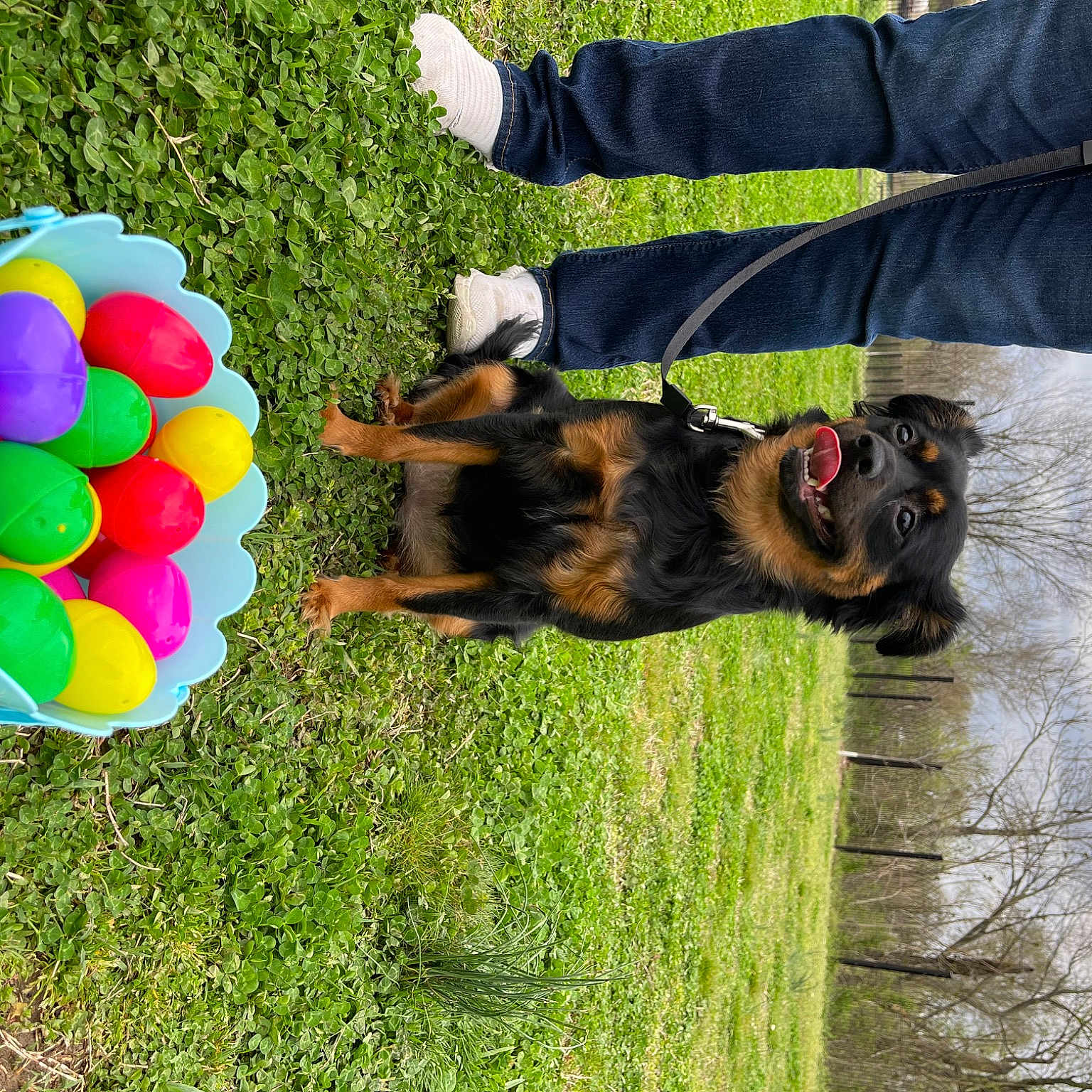 Bailey