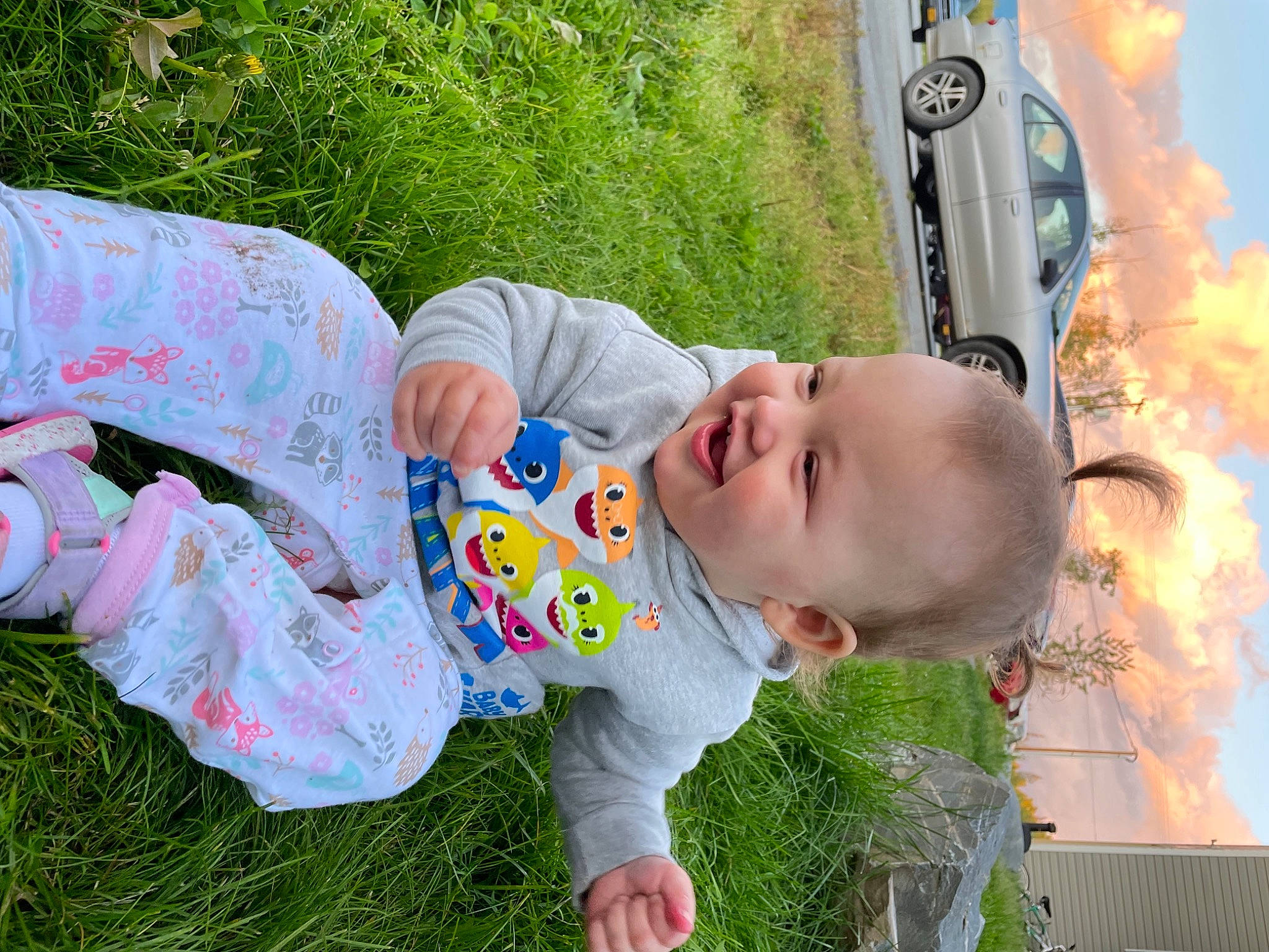 Lillianna is registered to the contest to win money with this photo: baby, baby_toddler_clothing, car, child, family_car, fun, grass, grass_family, happy, hood, leisure, people, people_in_nature, person, plant, recreation, sky, summer, toddler, vehicle