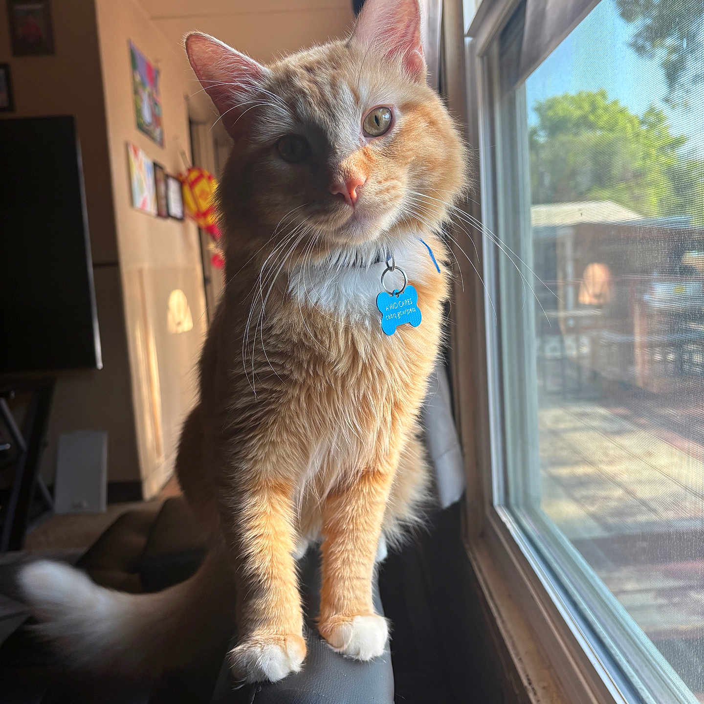 Mister