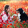 woman, dog, poppy_field, flowers, nature, outdoor, pet, friendship, smiling, kneeling, paw, black_dog, white_dog, grass, sunlight, happy, casual_clothing, spring, interaction, animal
