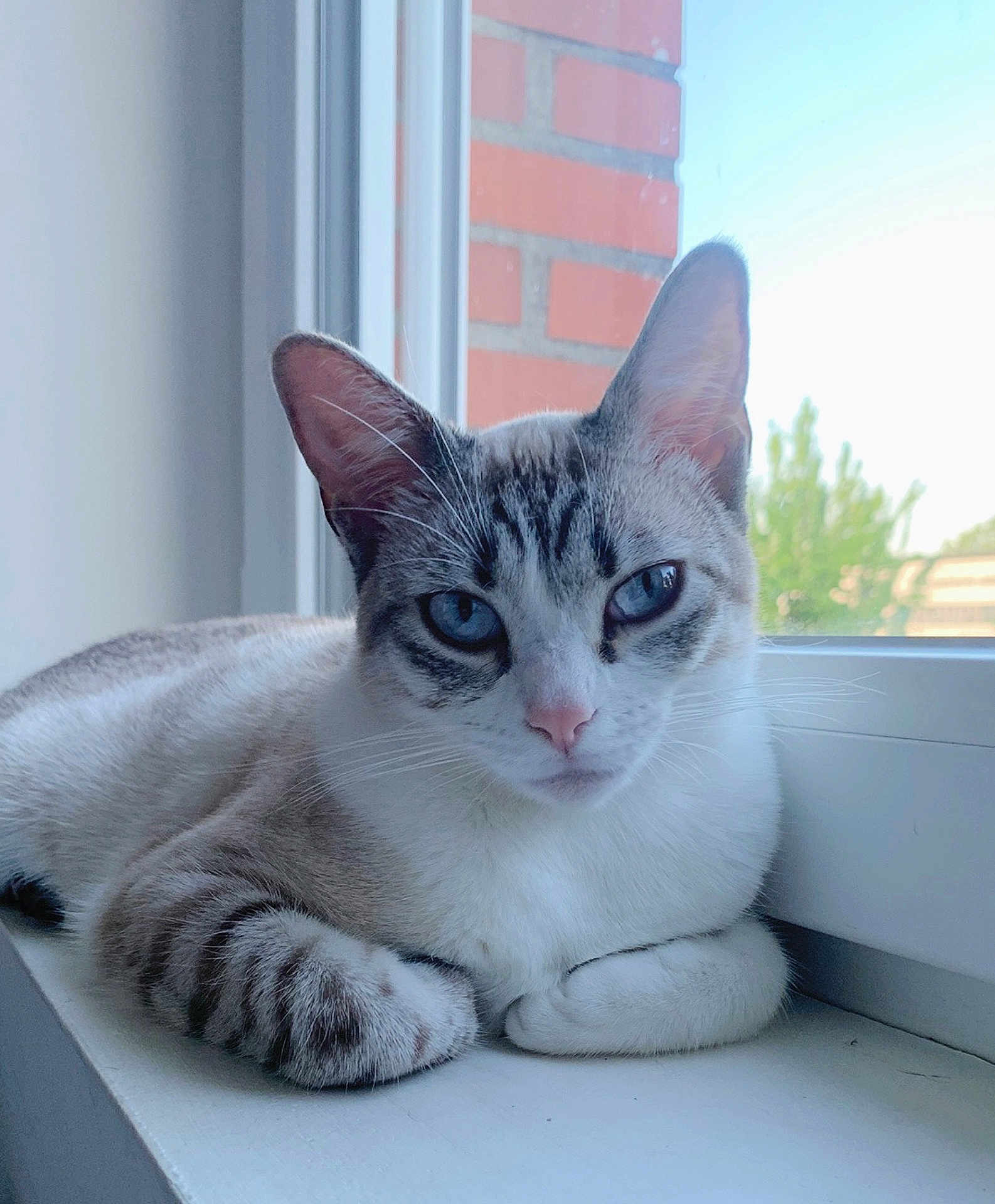 Yuki