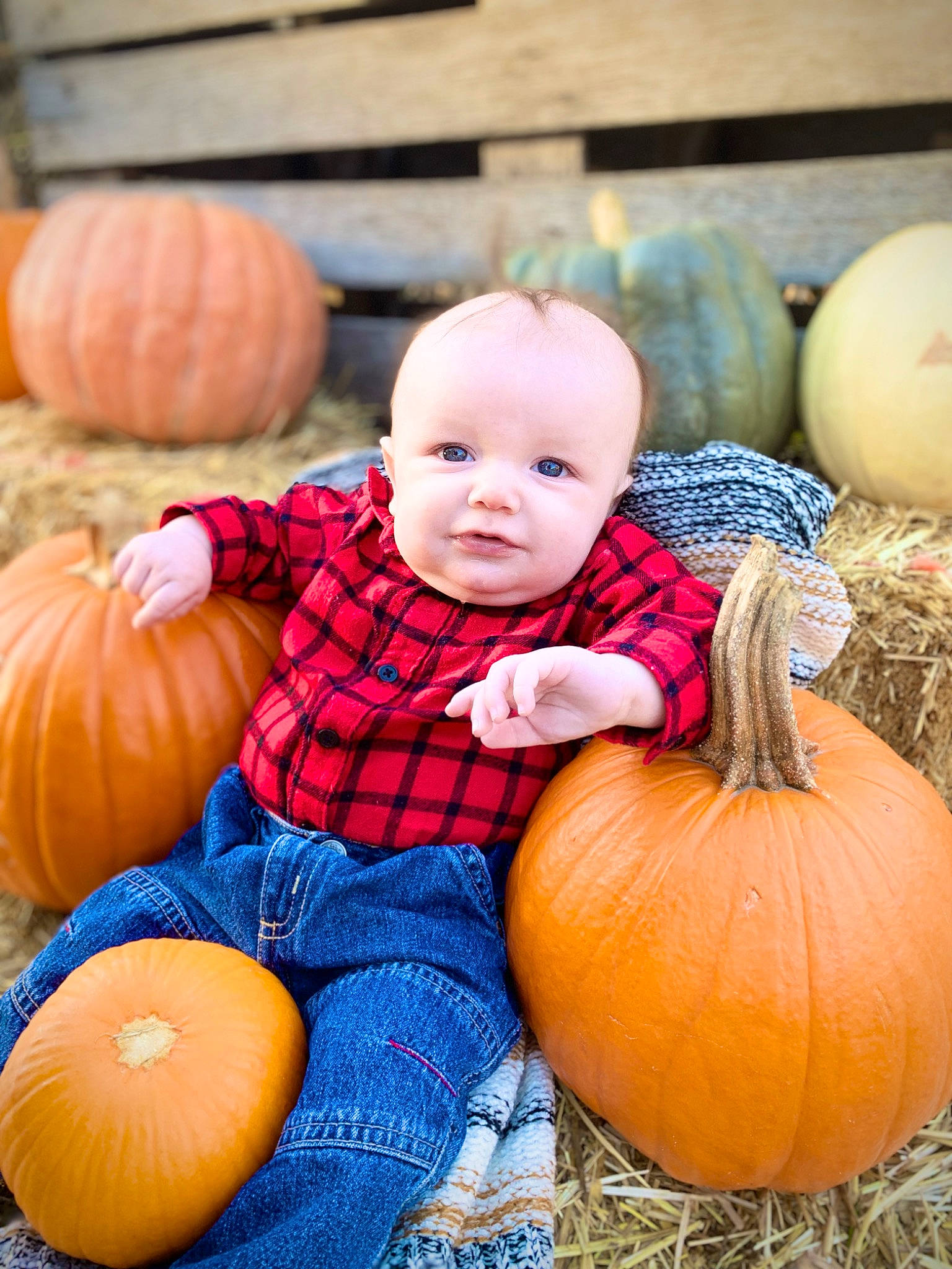 Alejandro is registered to the contest to win money with this photo: black, calabaza, cucurbita, dress, eye, face, facial_expression, gourd, head, human_body, natural_foods, orange, organ, people, person, photograph, plant, pumpkin, squash, toddler