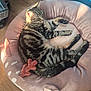 cat, tabby_cat, sleeping, pet_bed, plush_bed, pink_bed, sunlight, wooden_floor, indoor, cozy, animal, feline, resting, striped_fur, cute, domestic_cat, soft_texture, relaxed, home, comfort