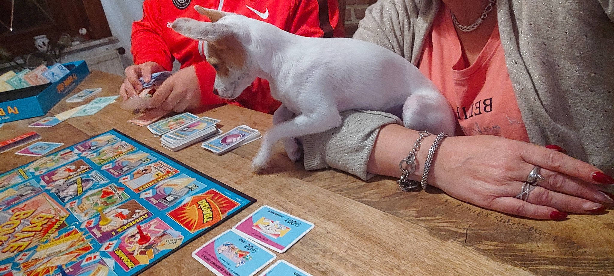 Naya participe au concours pour gagner de l'argent avec cette photo : art, artist, cat, child, companion_dog, felidae, flooring, fun, hand, jewellery, leisure, nail, recreation, small_to_medium_sized_cats, t_shirt, table, tail, toy, visual_arts, wood