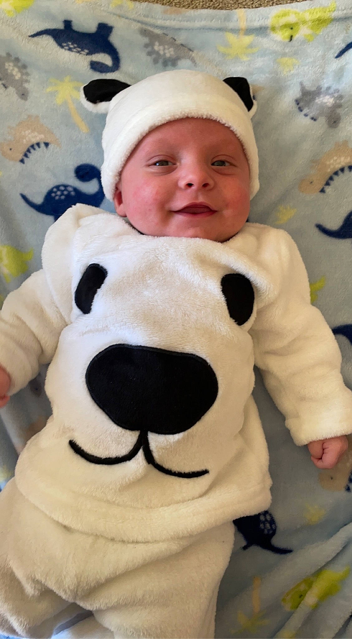 Lincoln joined the competition — help win amazing prizes! baby, baby_toddler_clothing, companion_dog, eye, fawn, happy, head, headwear, nose, outerwear, person, photograph, pink, skin, sleeve, smile, snout, teddy_bear, toddler, toy