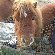 Caramou participe au concours pour gagner de l'argent avec cette photo :