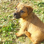 Scoubidou a rejoint le concours — aidez-le/la à gagner de superbes lots !