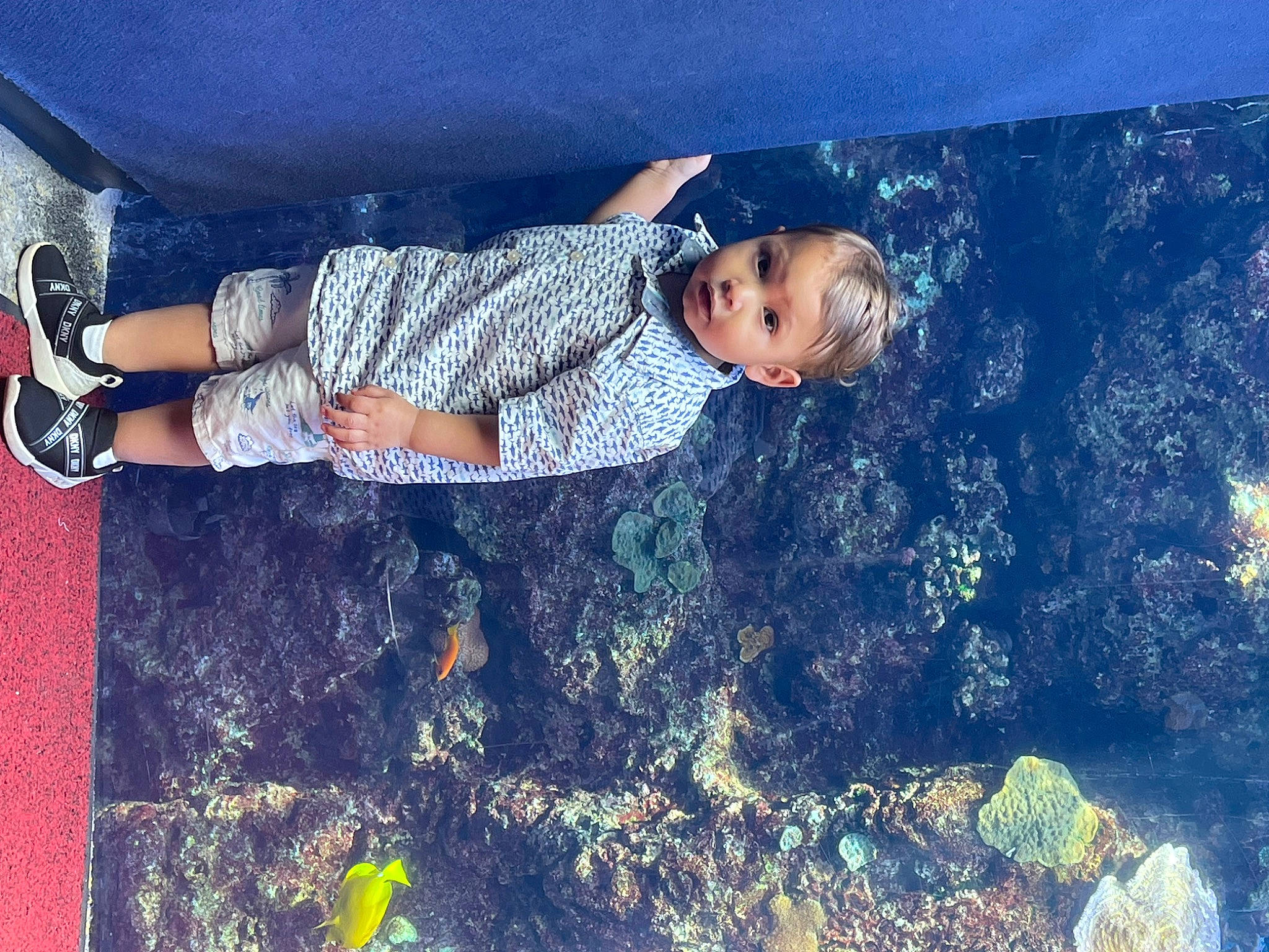 Luca is registered to the contest to win money with this photo: adventure, child, denim, electric_blue, flash_photography, fun, grass, happy, human_leg, landscape, leisure, people_in_nature, person, play, recreation, sitting, soil, tints_and_shades, toddler, tree