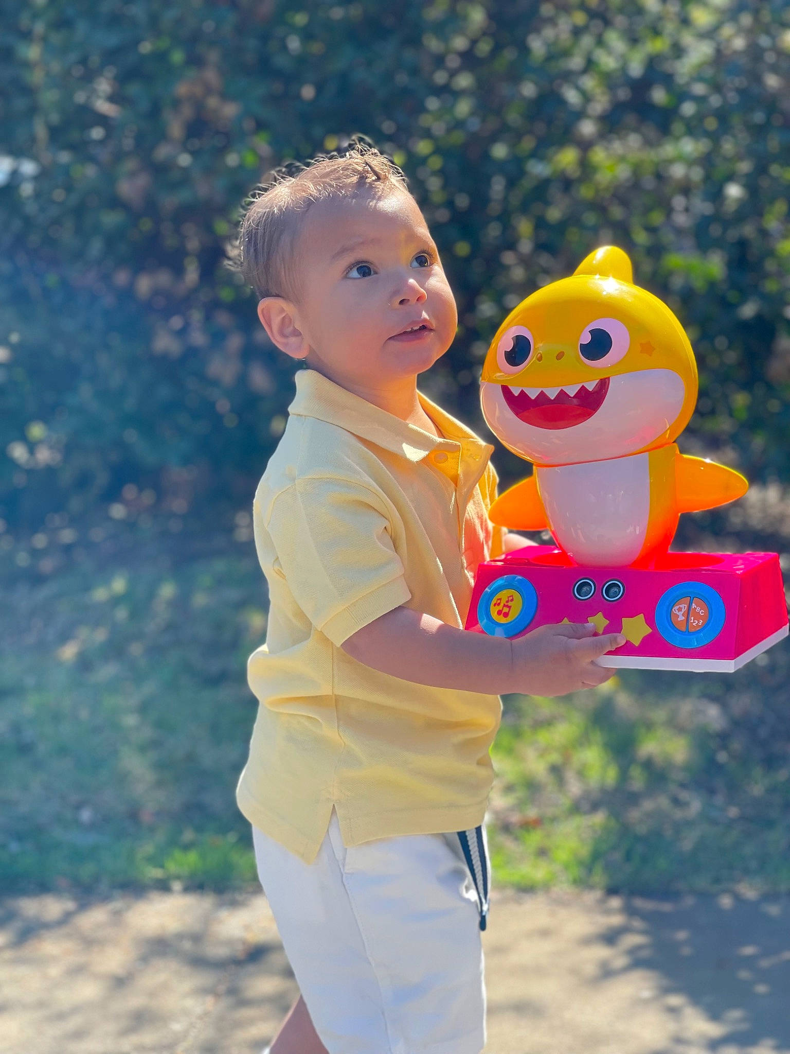 Luca joined the competition — help win amazing prizes! child, electric_blue, flash_photography, fun, grass, happy, leisure, people_in_nature, person, plant, play, recreation, sitting, smile, t_shirt, toddler, toy, tree, vacation