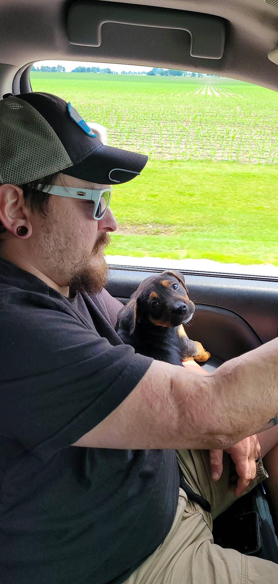 Colt joined the competition — help win amazing prizes! baseball_cap, beard, cap, carnivore, eyewear, facial_hair, fawn, glasses, grass, hand, landscape, mammal, mouth, snout, sunglasses, terrestrial_animal, vertebrate, vision_care, wildlife_biologist, working_animal