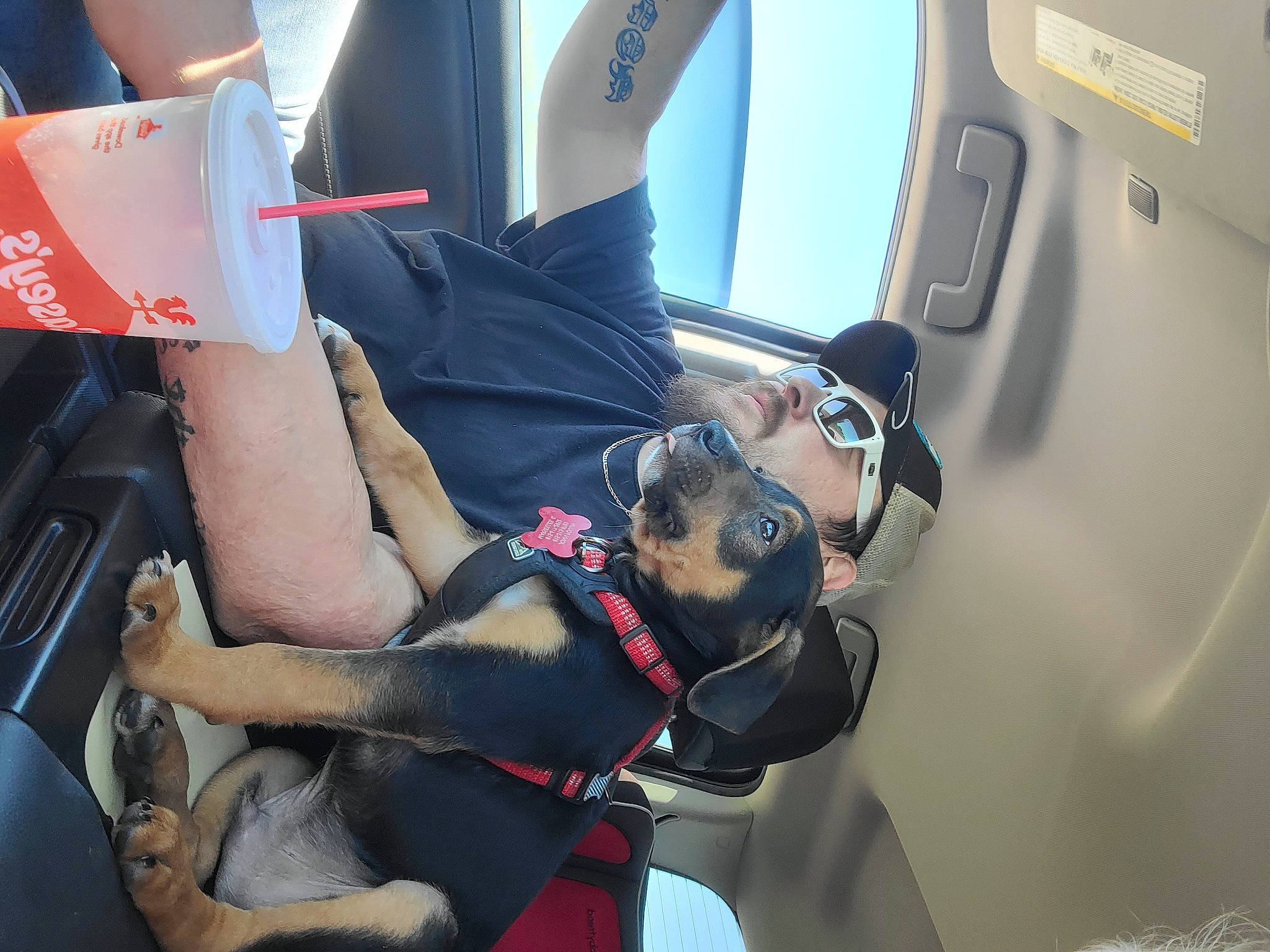 Colt joined the competition — help win amazing prizes! adventure, arm, automotive_design, automotive_exterior, carnivore, dog, dress, eyewear, fun, goggles, human_leg, leisure, motor_vehicle, personal_protective_equipment, recreation, shorts, sunglasses, thigh, vehicle, vehicle_door