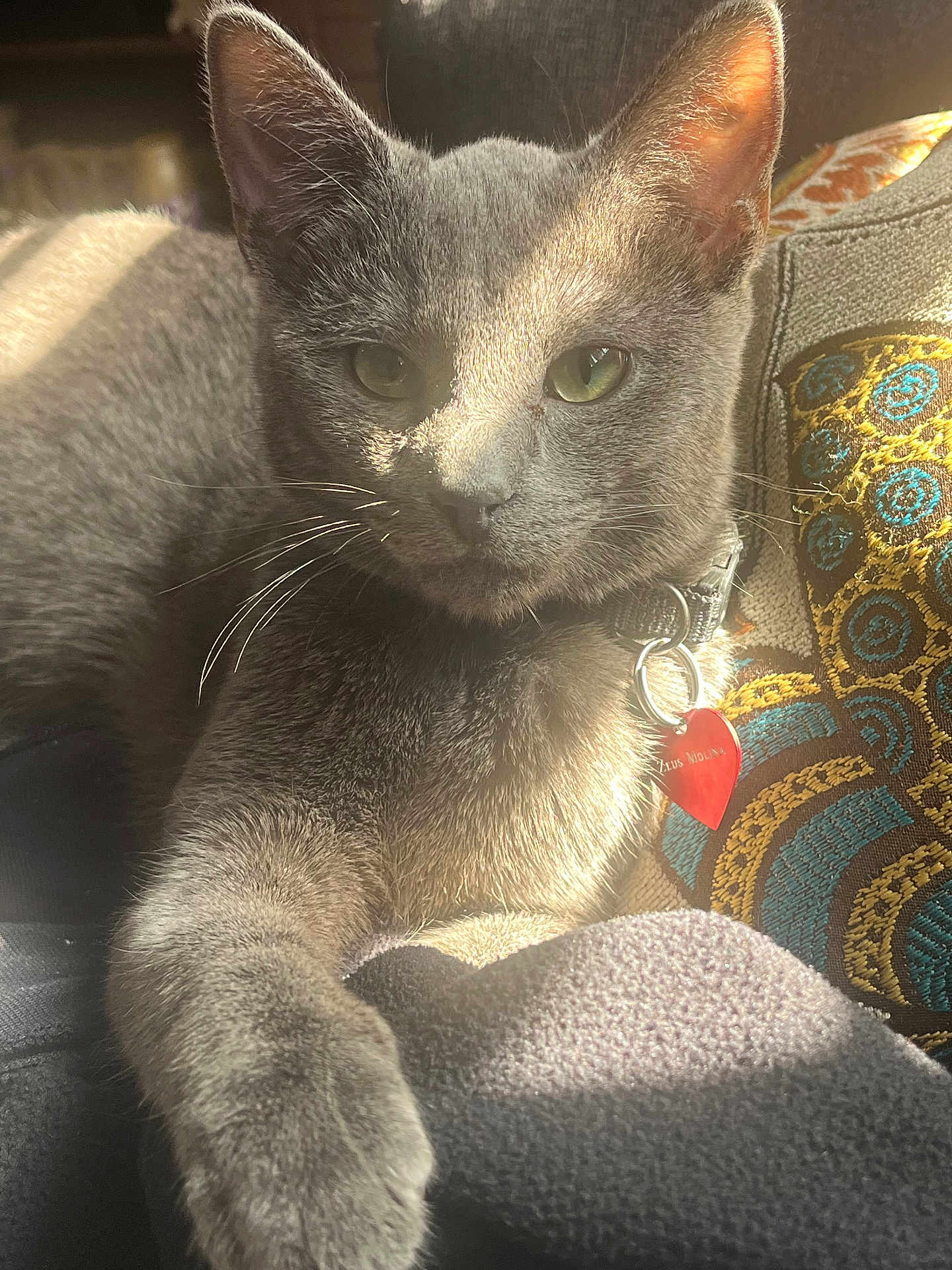 Zues