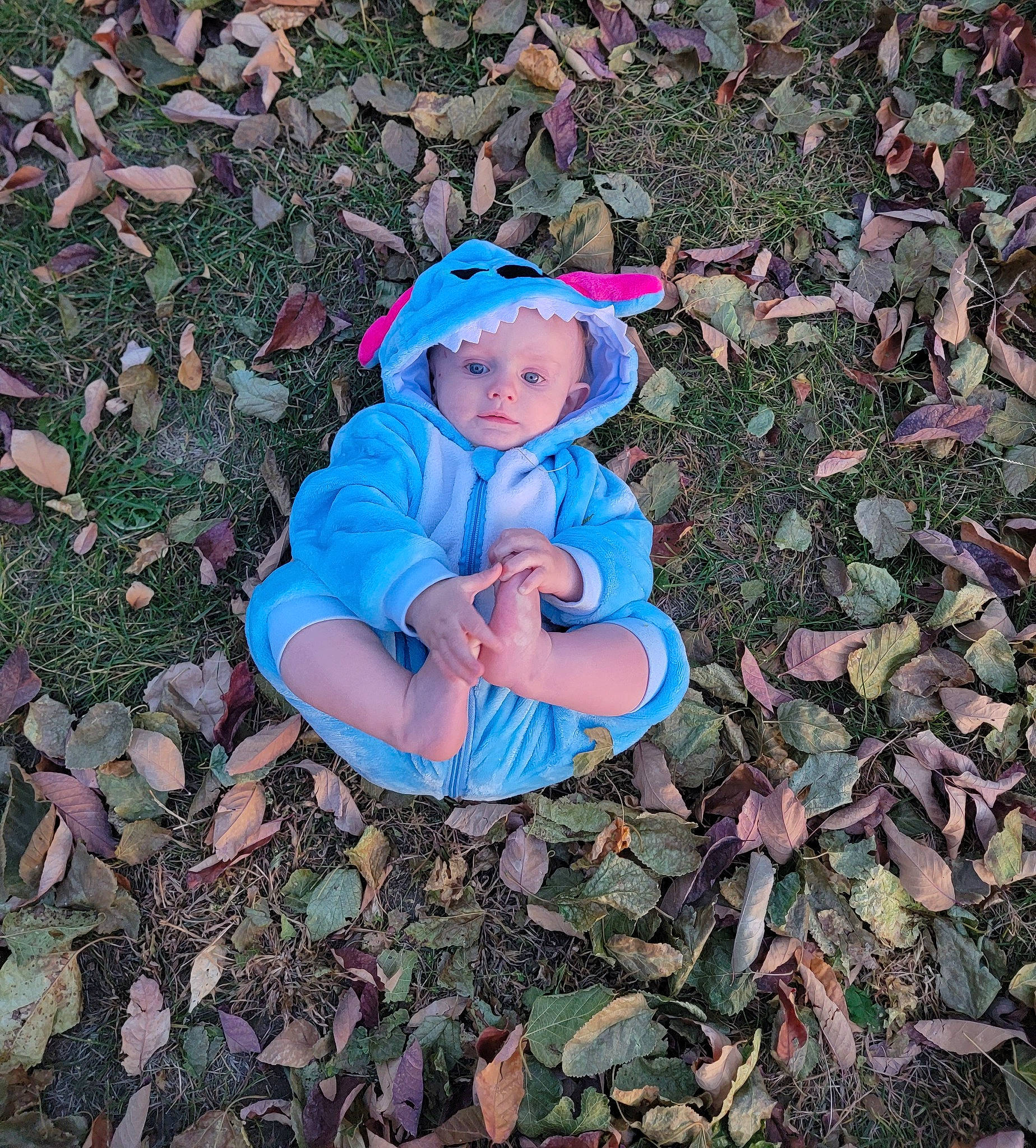 Trevor is registered to the contest to win money with this photo: baby, baby_toddler_clothing, cap, child, deciduous, electric_blue, eye, grass, groundcover, hand, hat, headwear, human_body, leaf, nature, people_in_nature, person, plant, soil, toddler