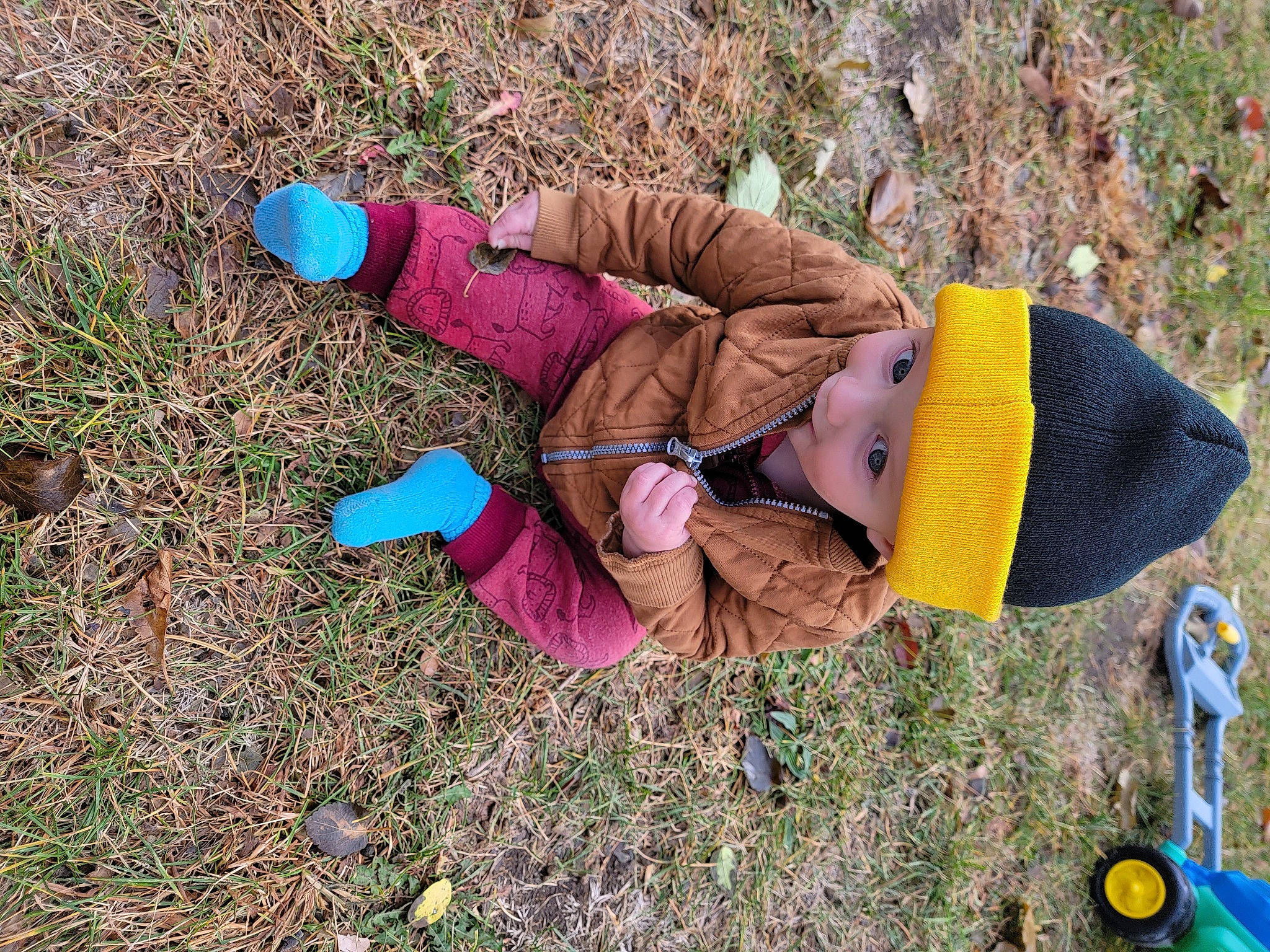 Trevor joined the competition — help win amazing prizes! adaptation, baby, child, fashion_accessory, fun, grass, grass_family, grassland, hat, headwear, leisure, people_in_nature, person, personal_protective_equipment, play, recreation, soil, sun_hat, toddler, tree