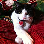 Maui is registered to the contest to win money with this photo: