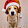 Santa Baby