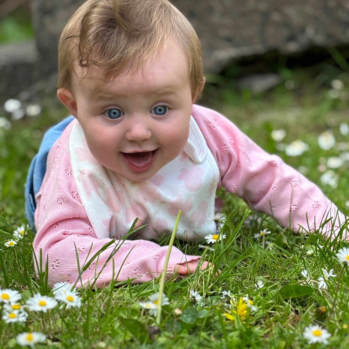 Ezmae is registered to the contest to win money with this photo: baby, bib, blue_eyes, child, cute, daisies, flower, grass, greenery, happy, infant, nature, outdoor, person, pink_sweater, playful, portrait, smiling, toddler, young_child