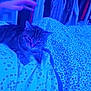cat, tabby, bedspread, hand, blue_light, patterned_bedding, closet, clothes, hanger, indoor, furniture, pet, animal, resting, feline, bedroom, textile, soft_light, casual, home