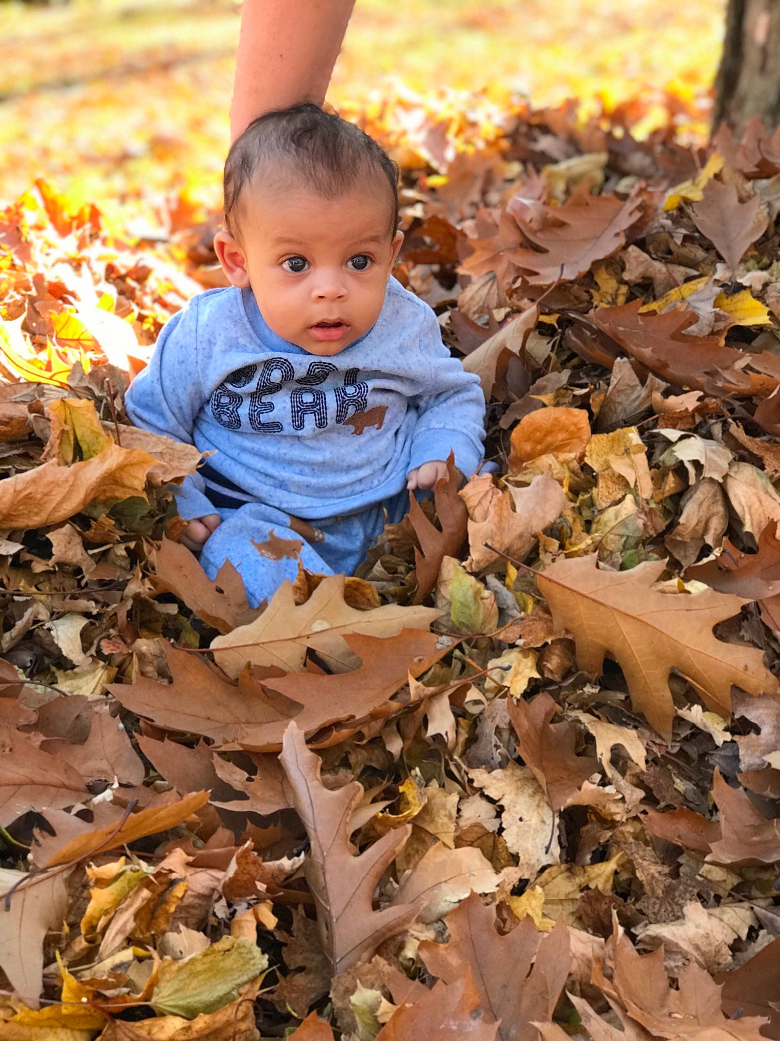 Kyden joined the competition — help win amazing prizes! adaptation, autumn, child, deciduous, leaf, person, plant, surprise, toddler