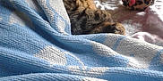 Mimi participe au concours pour gagner de l'argent avec cette photo :
