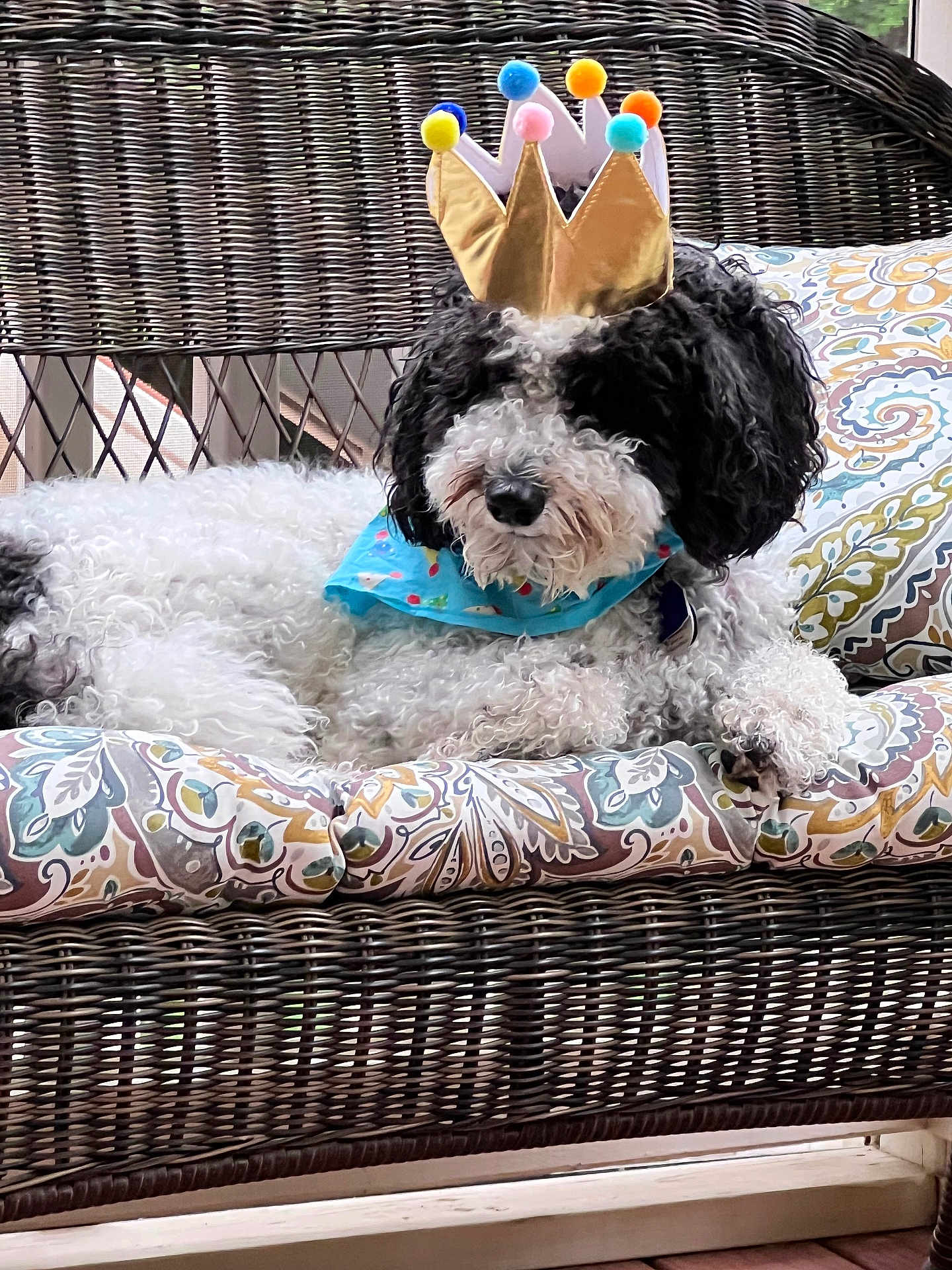 Murphy
