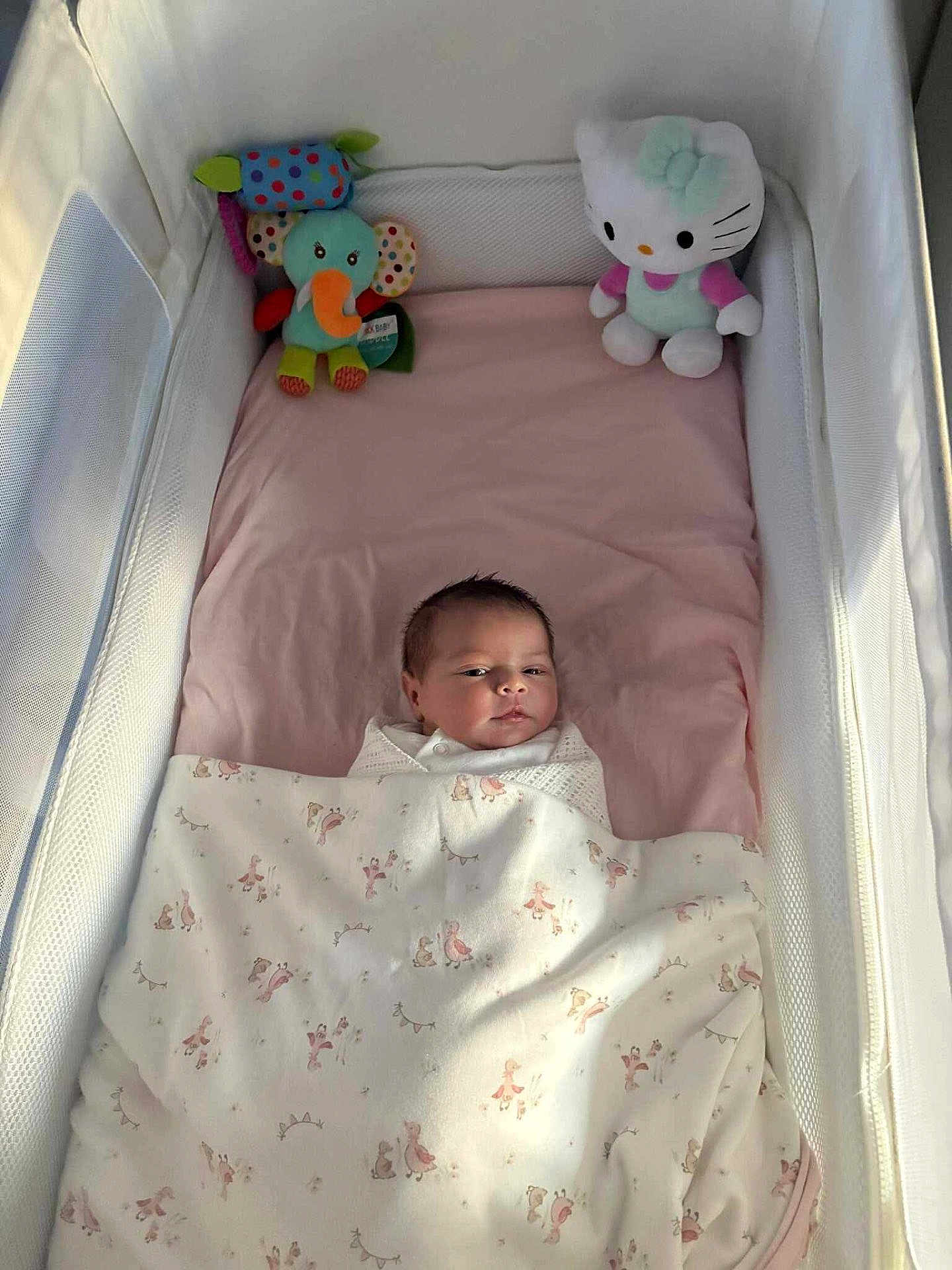Lilah joined the competition — help win amazing prizes! baby, blanket, crib, stuffed_toy, elephant_toy, hello_kitty, infant, sleeping_area, soft_toys, baby_bedding, newborn, wrapped, pink_sheet, white_mesh, child, indoor, portrait, cute, peaceful, resting