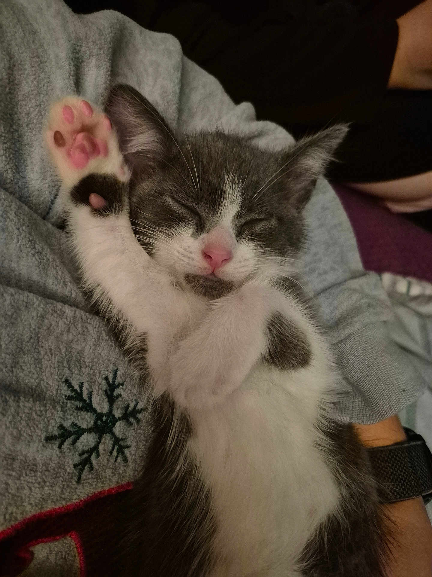 Mowgli