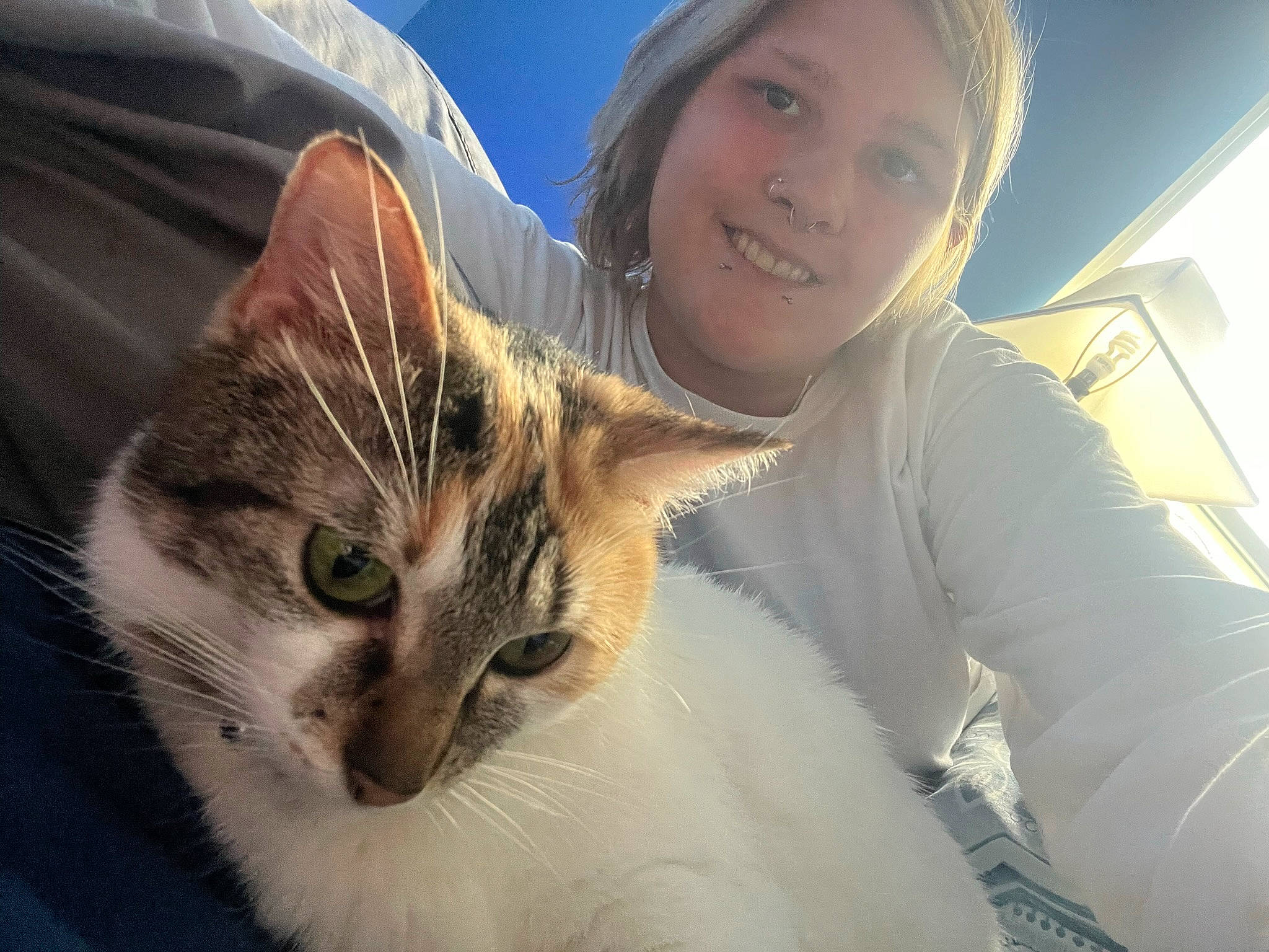 Faith is registered to the contest to win money with this photo: beard, beauty, carnivore, cat, domestic_short_haired_cat, eye, eyewear, fawn, felidae, flash_photography, fur, grass, happy, mammal, sitting, small_to_medium_sized_cats, smile, snout, vertebrate, whiskers