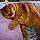 Muffin Kitty
