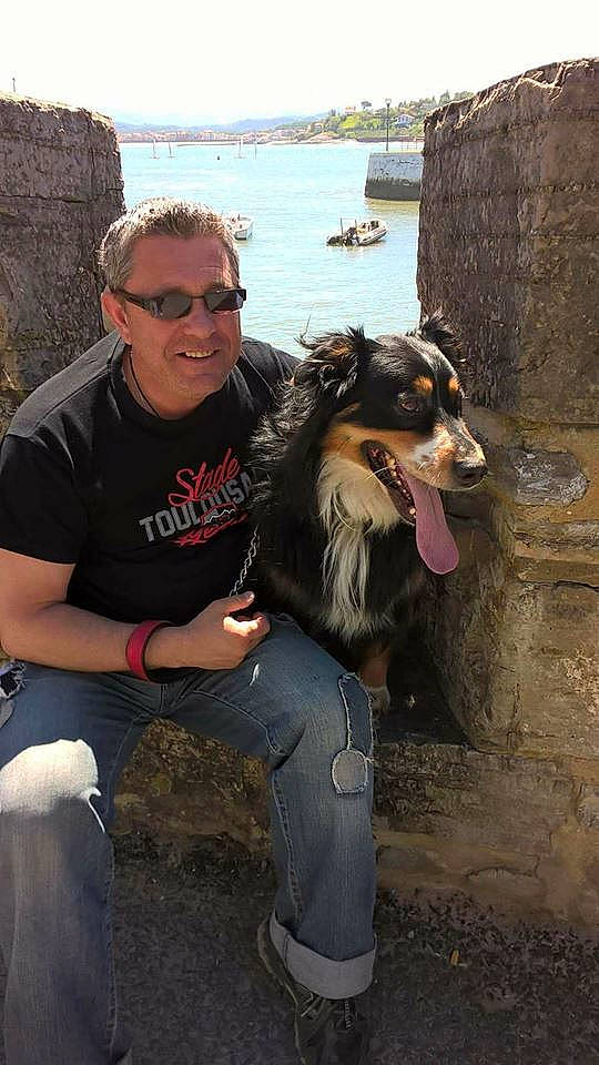 Ilico participe au concours pour gagner de l'argent avec cette photo : australian_shepherd, canidae, carnivore, collie, dog, dog_breed, mammal, rough_collie, shetland_sheepdog